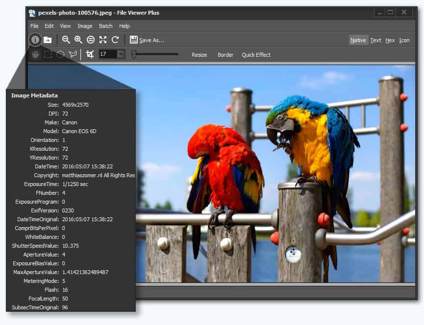 File Viewer Plus 3