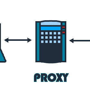 Web Proxy